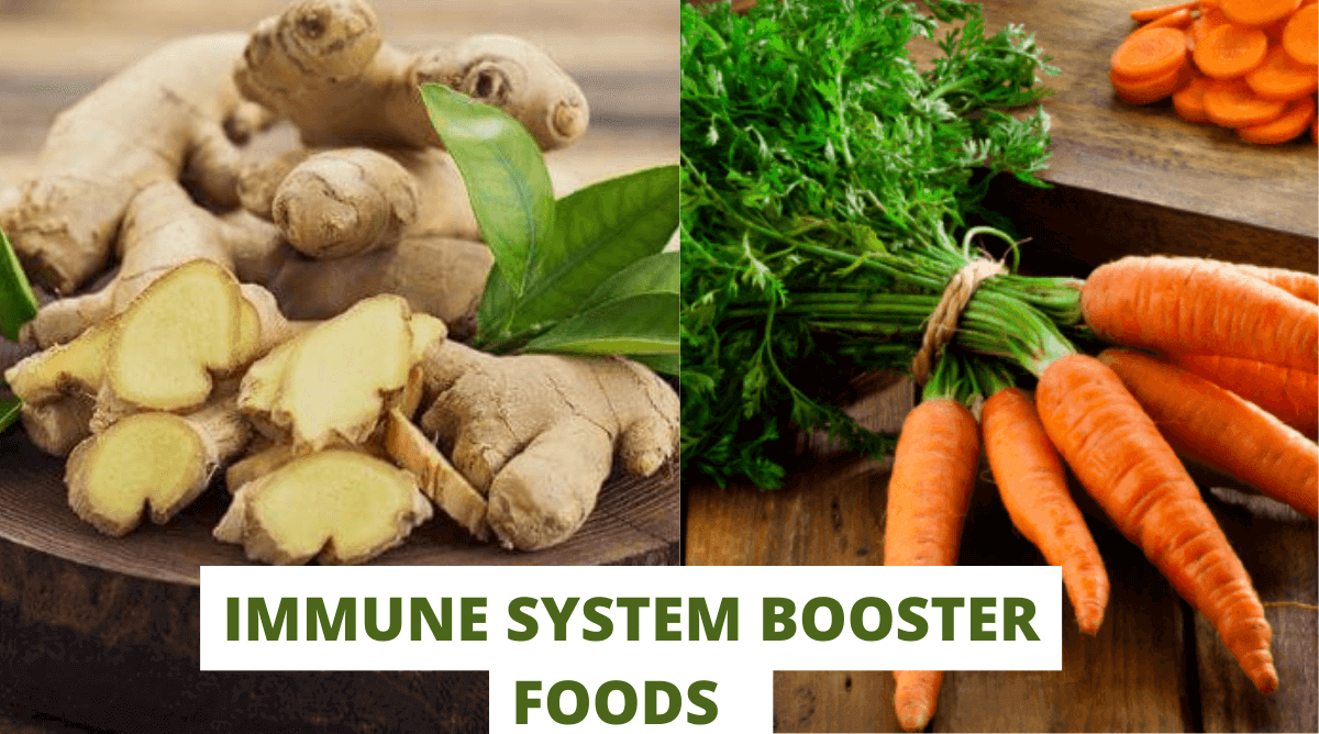 11 Wholesome Immune System Booster Foods to Build A Healthy Life